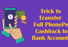 Transfer PhonePe Cashback to Bank Account